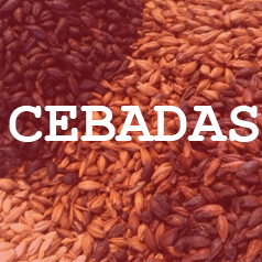 CEBADA